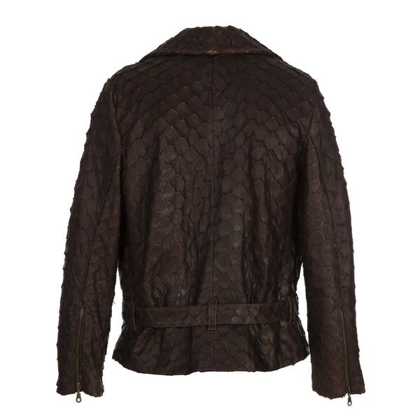 Arapaima Gigas Brown